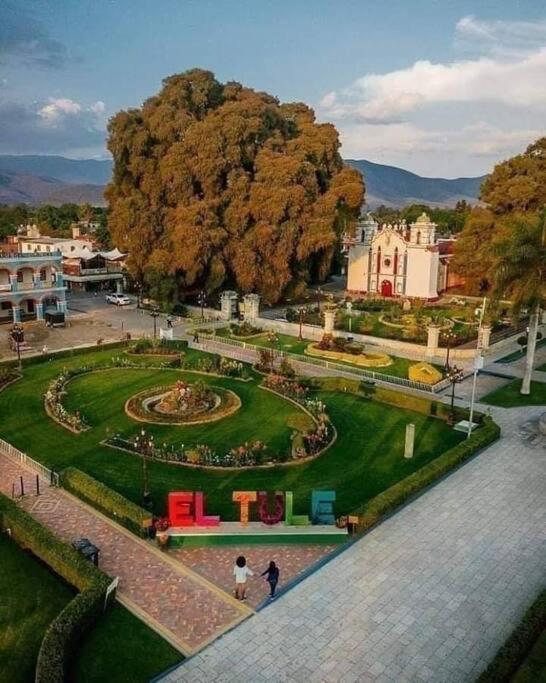 M1010 - The Best Place To Enjoy Oaxaca Dış mekan fotoğraf
